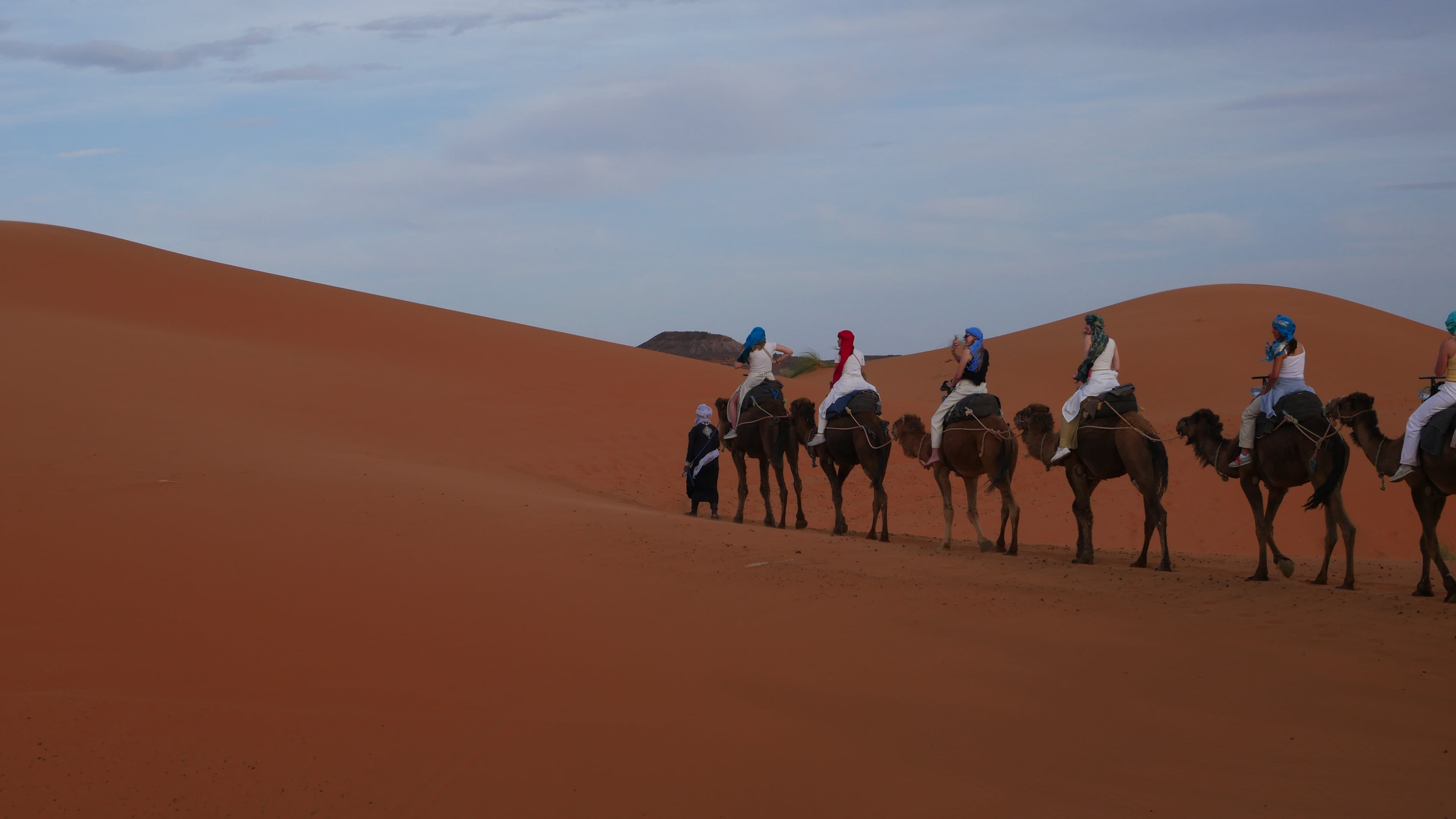 A caravan of camels carrying tourists in colorful turbans walking along a dune ridge, led on foot by a Berber guide